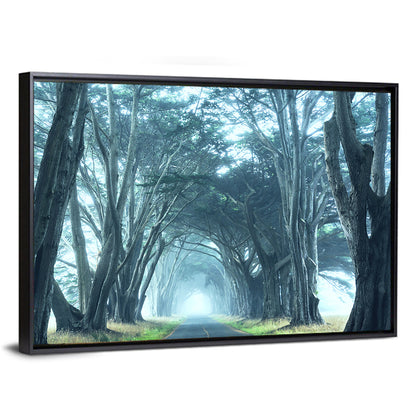 Foggy Cypress Tree Tunnel Wall Art