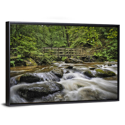 Stock Ghyll Footbridge Forest Stream Wall Art