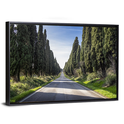 Cypress Trees Avenue Wall Art