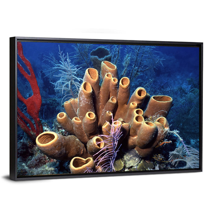 Belize Reef Sponge Scene Wall Art as a framed canvas