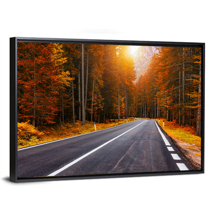 Golden Hour Forest Road Wall Art