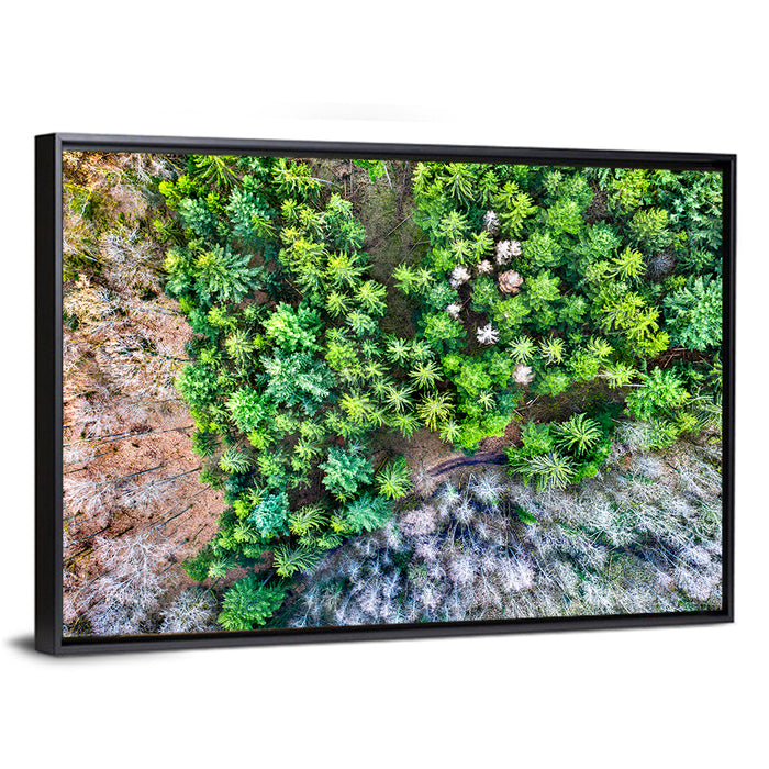 Vosges Mountains Wall Art as a framed canvas