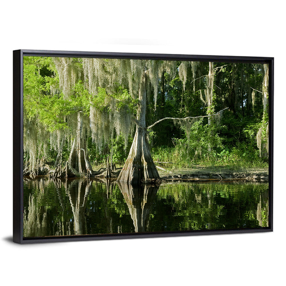 Bald Cypress and Great Blue Heron Wall Art