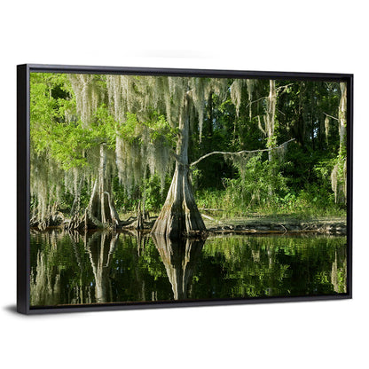 Bald Cypress and Great Blue Heron Wall Art