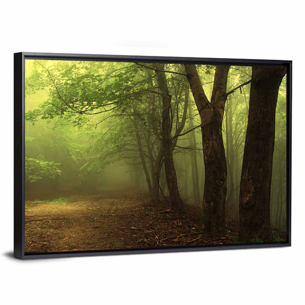 Misty Green Forest Path Wall Art
