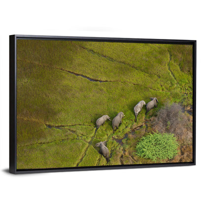 Aerial Herd of Elephants Wall Art