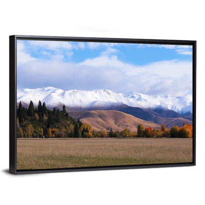 Ben Ohau Mountain Meadow Wall Art