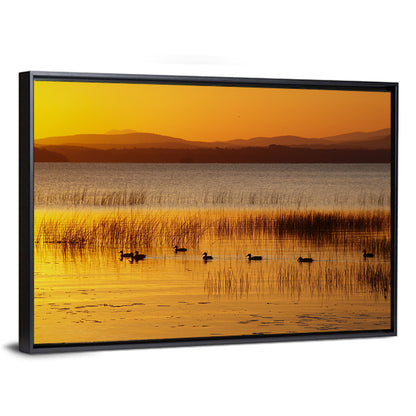 Lake Champlain Golden Sunrise Wall Art