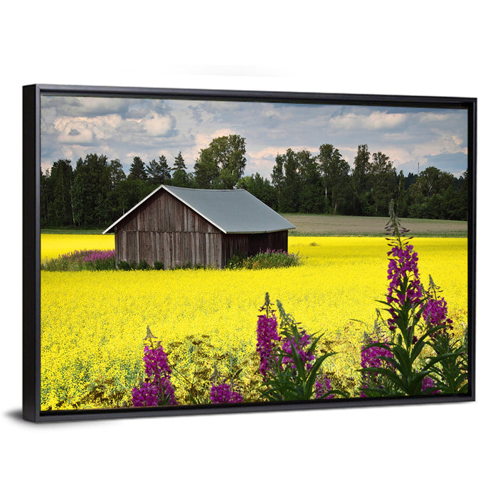 Finnish Barn in Yellow Field Wall Art as a framed canvas