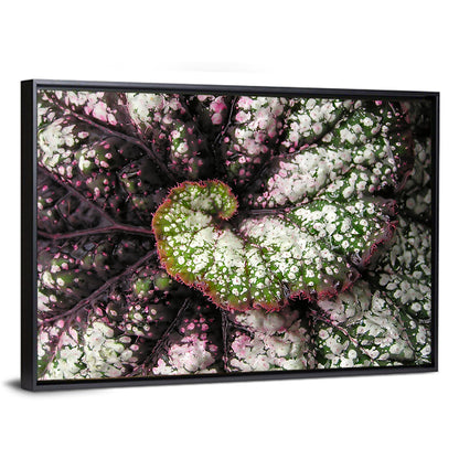 Begonia Leaf Spiral Geometry Wall Art
