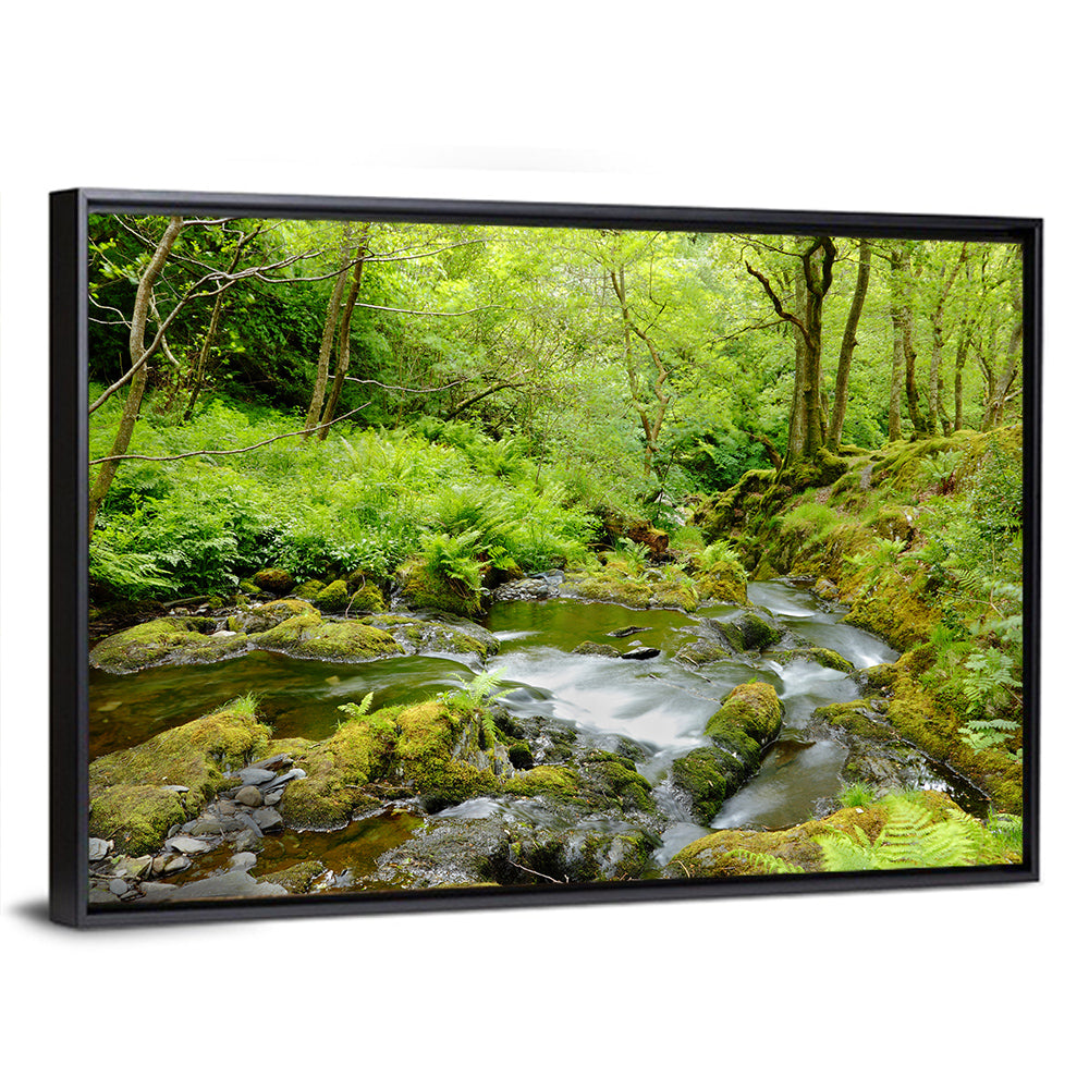 Mossy Stream Through Forest Wall Art