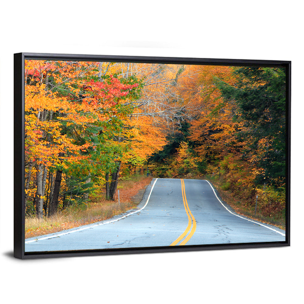 Autumn Road in New Hampshire Wall Art