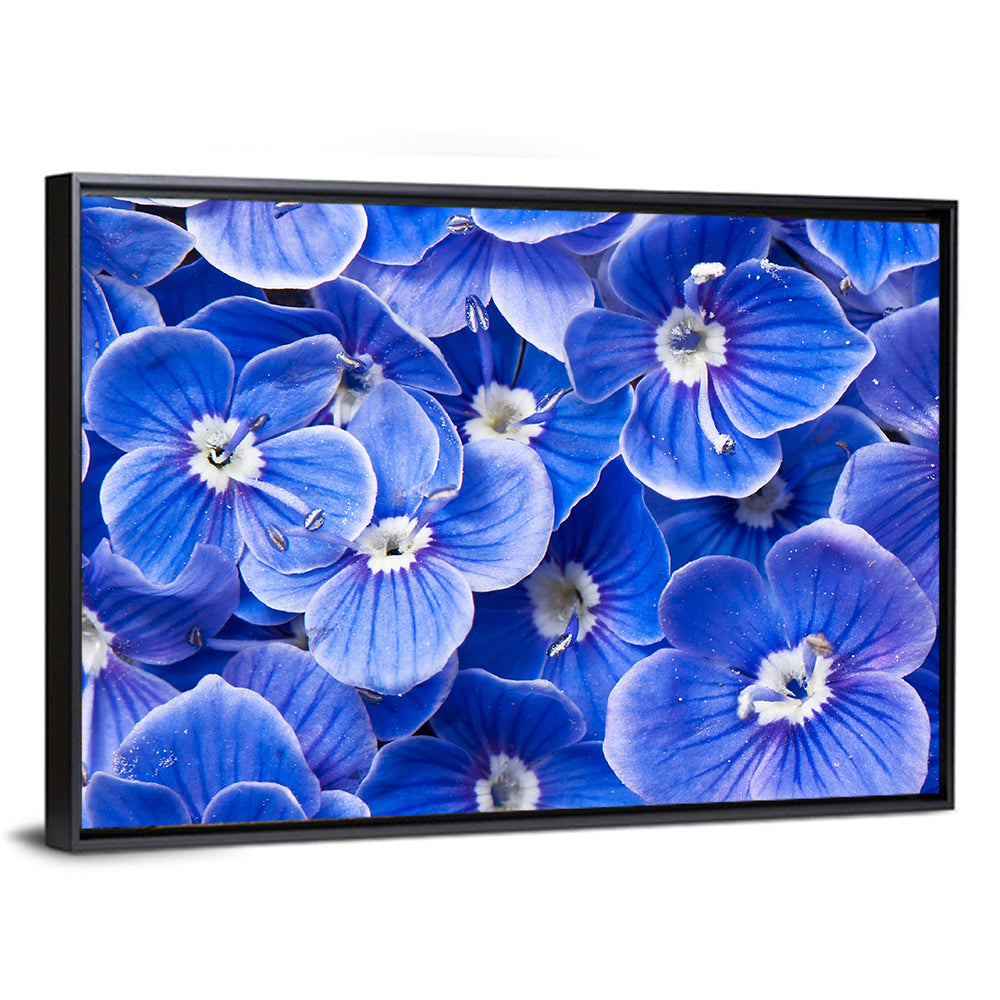 Blue Wildflower Close-up Wall Art