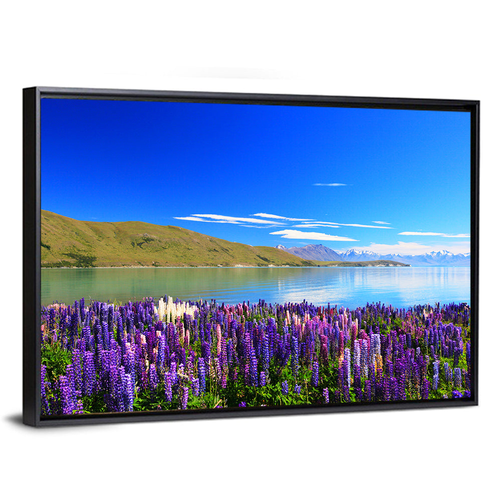 Lake Tekapo Lupine Fields Wall Art