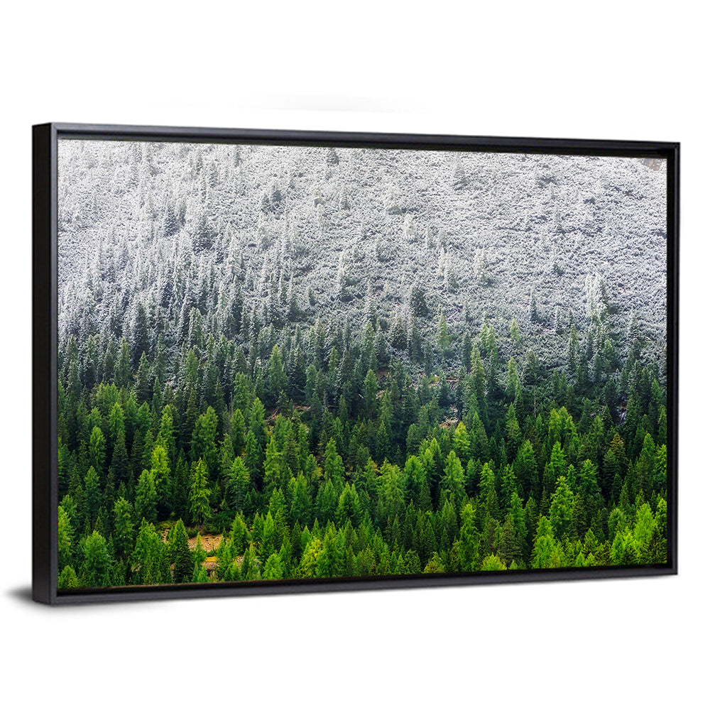 Snowy Dolomites Forest Wall Art