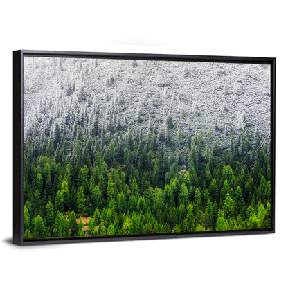 Snowy Dolomites Forest Wall Art