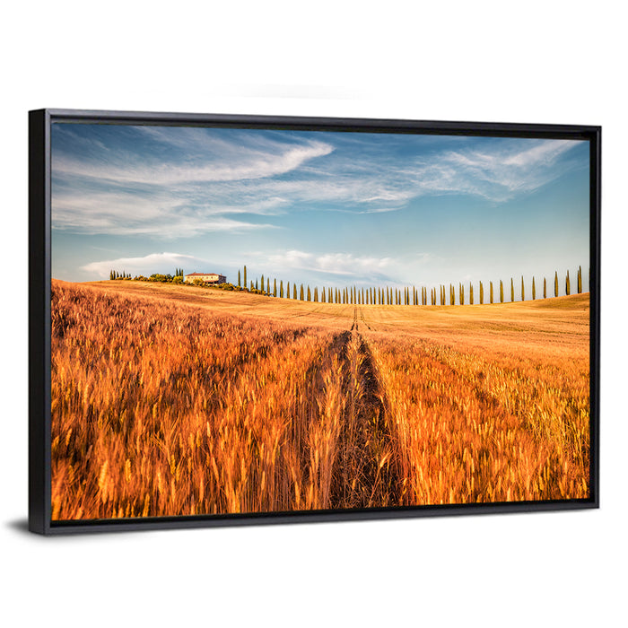 Tuscan Wheat Field Wall Art as a framed canvas