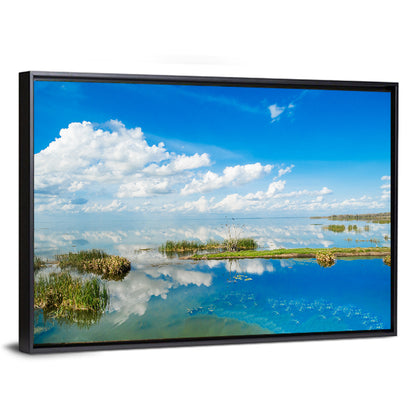 Lake Apopka Reflection Wall Art