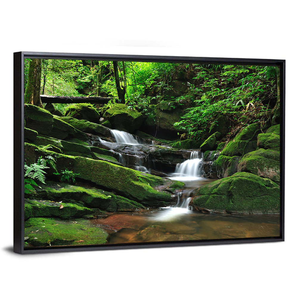 Mossy Rainforest Stream Wall Art