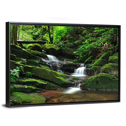 Mossy Rainforest Stream Wall Art