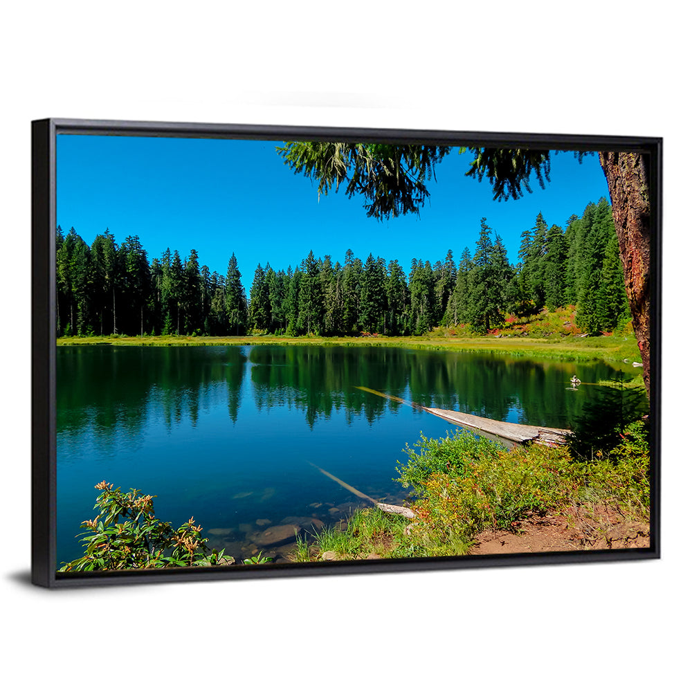 Parrish Lake Reflection Wall Art