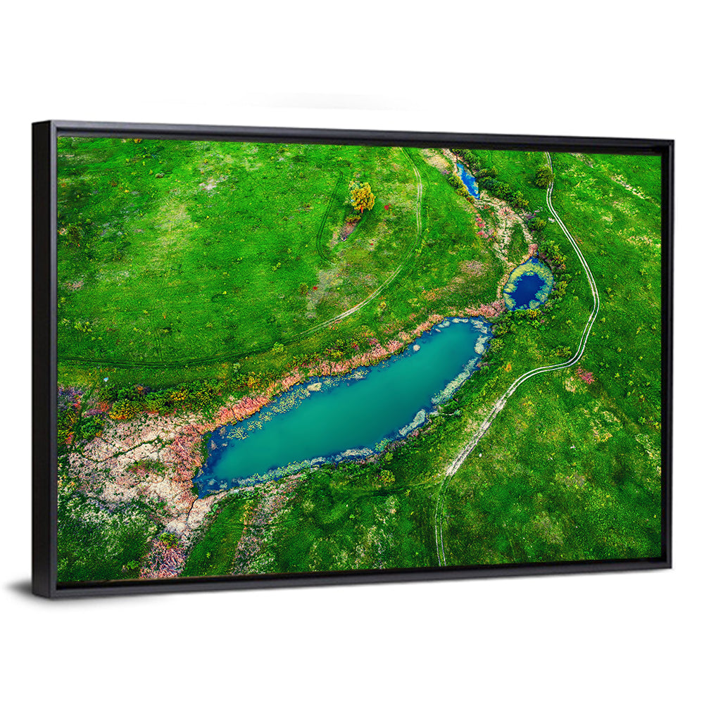 Meadows Lake Aerial Wall Art