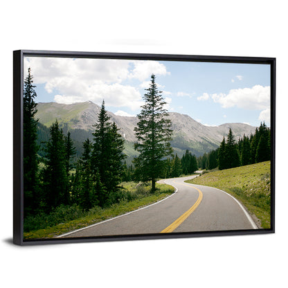Colorado Mountain Road Wall Art