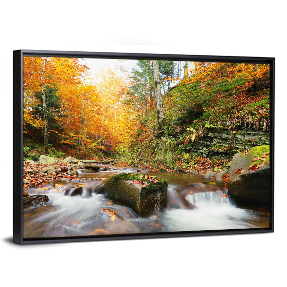 Forest Stream in Autumn Wall Art