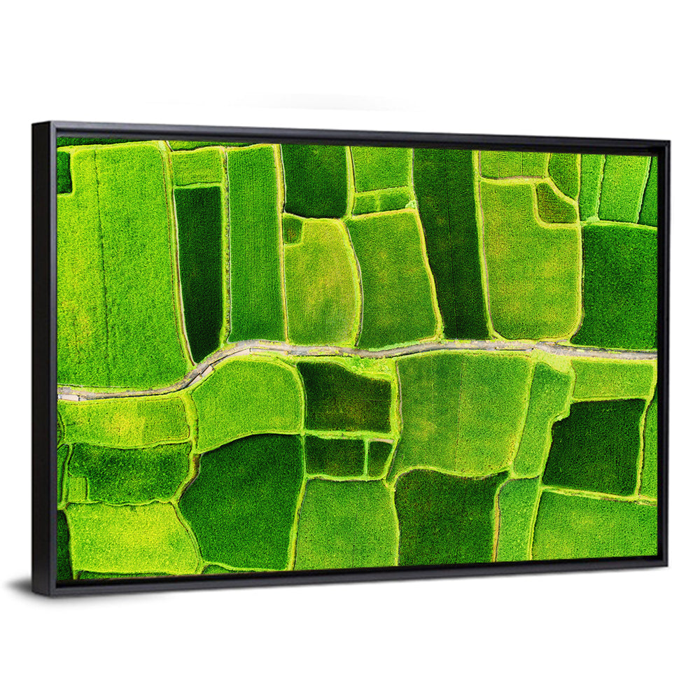 Verdant Rice Terrace Grid Wall Art
