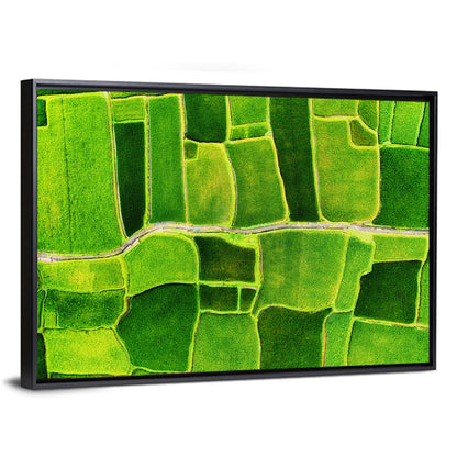 Verdant Rice Terrace Grid Wall Art