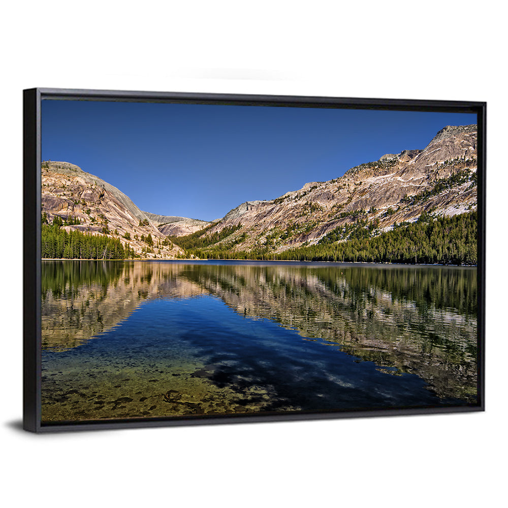 Tenaya Lake Reflection Wall Art
