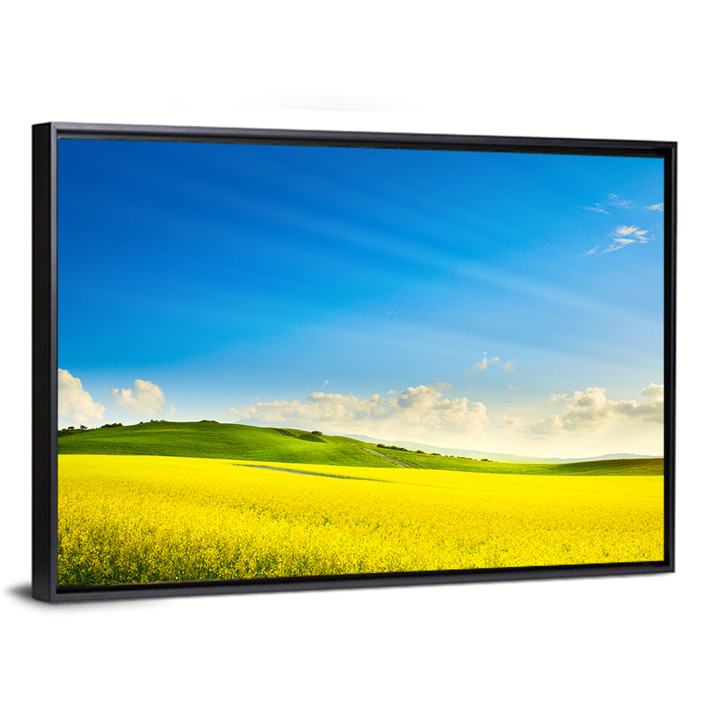 Rapeseed Field and Rolling Hills Under Blue Sky Wall Art