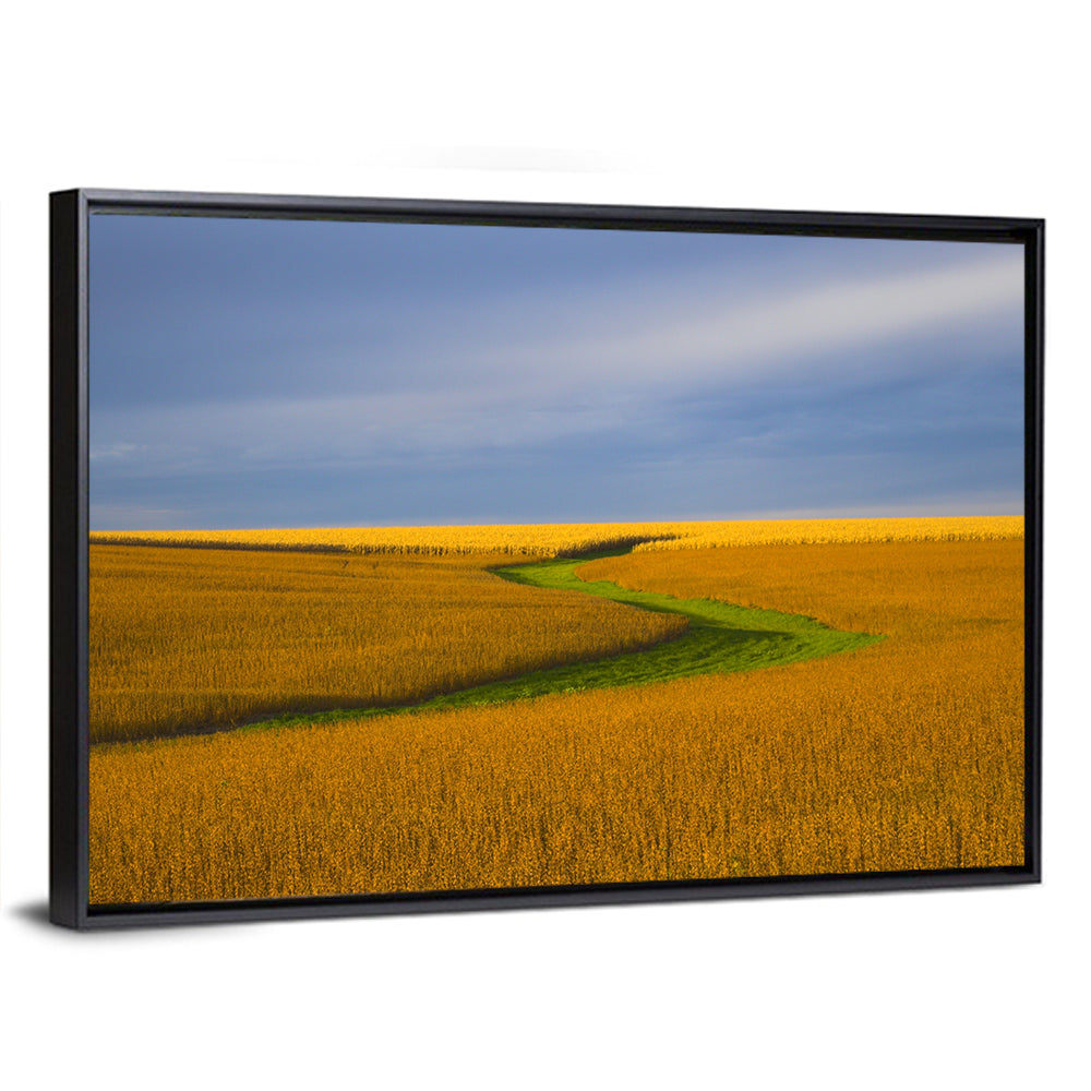 Golden Hour Soybean Field Wall Art