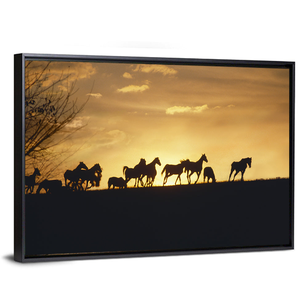 Mustang Silhouettes at Sunset Wall Art