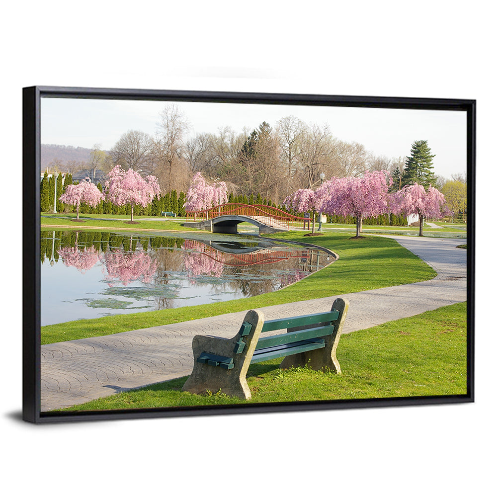 Harrisburg Park Cherry Blossoms Wall Art