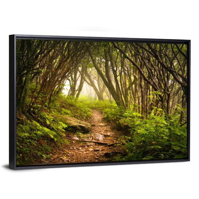 Craggy Gardens Hiking Trail Wall Art as a framed canvas