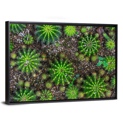 Cactus Plants Wall Art