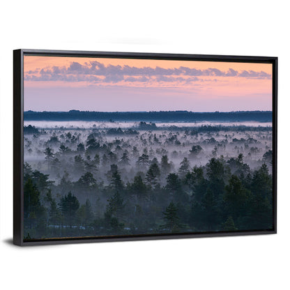 Estonian Misty Pine Landscape Wall Art