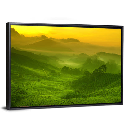 Sunlit Tea Plantation Hills Wall Art