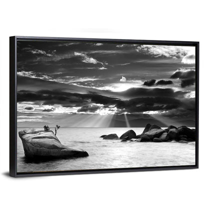 Bonsai Rock Wall Art