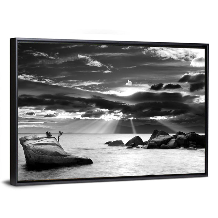 Bonsai Rock with Sunbeams Wall Art as a framed canvas