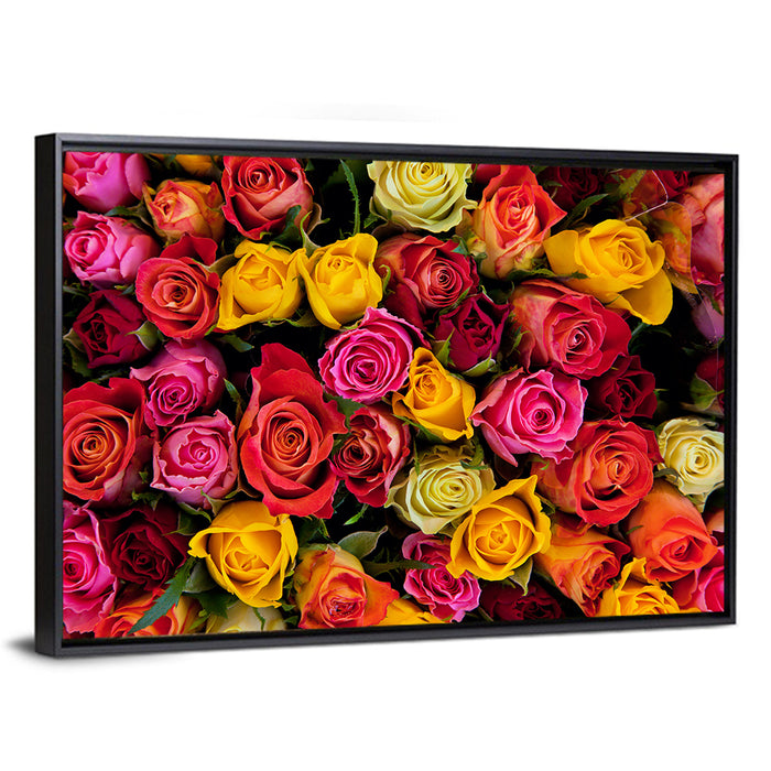 Multicolored Roses Close-up Wall Art as a framed canvas