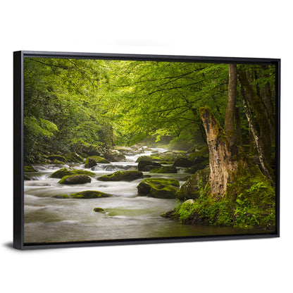 Tremont River Wall Art