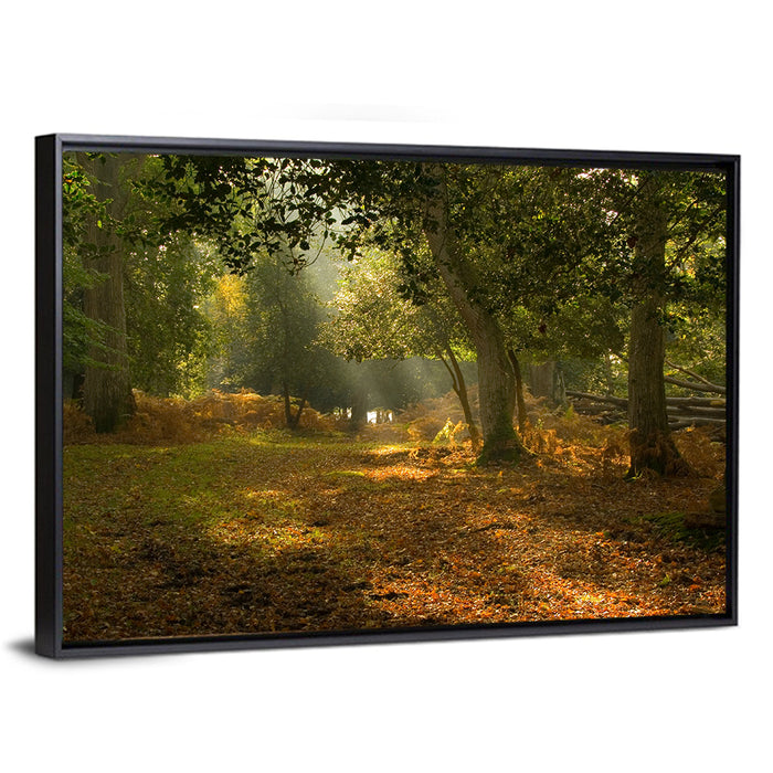 Autumn Forest Path, Hampshire Wall Art as a framed canvas