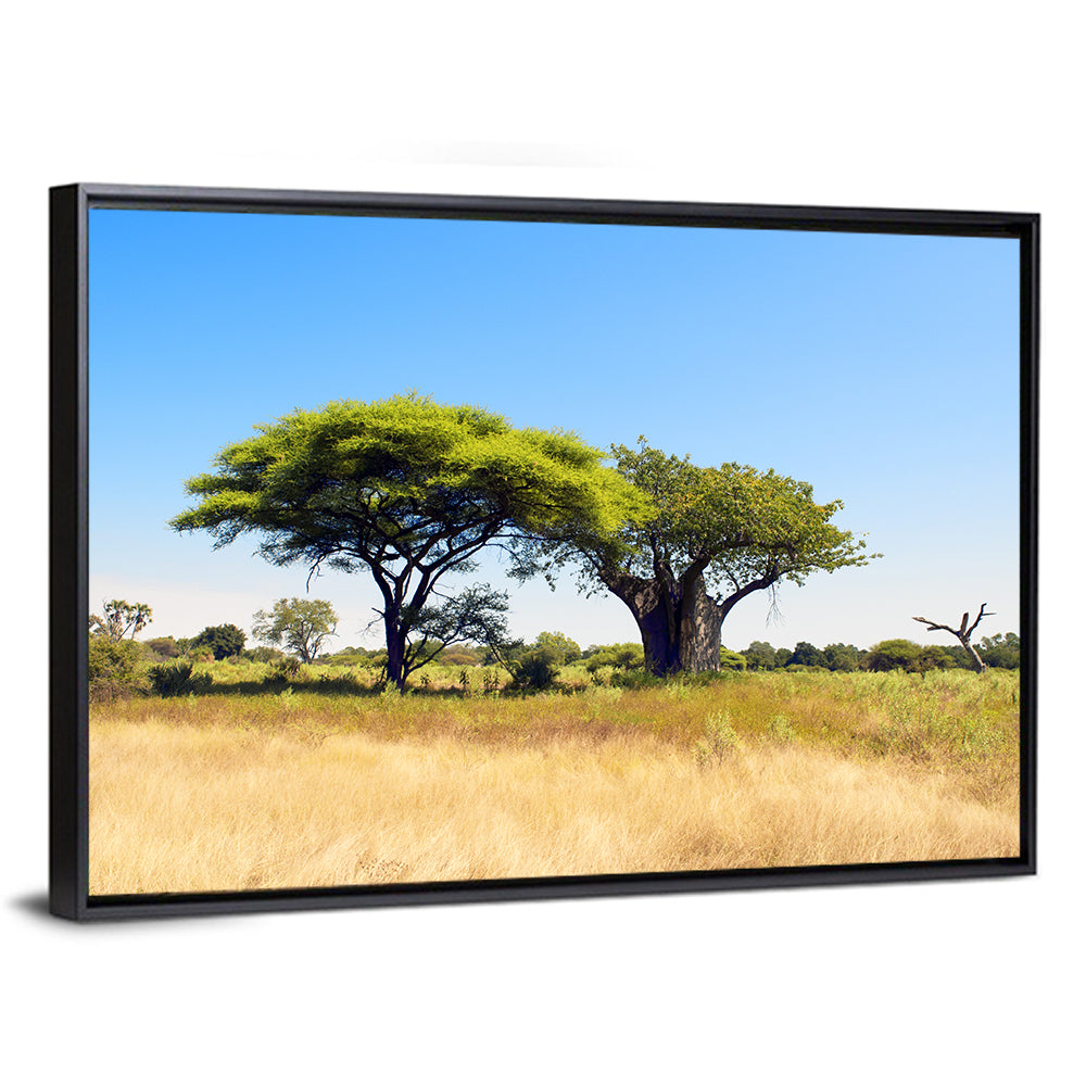 Acacia and Baobab Trees Wall Art