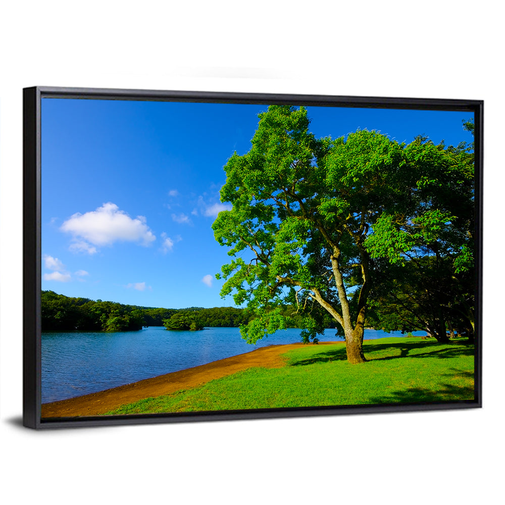 Lake Ippeki Solitary Tree Wall Art