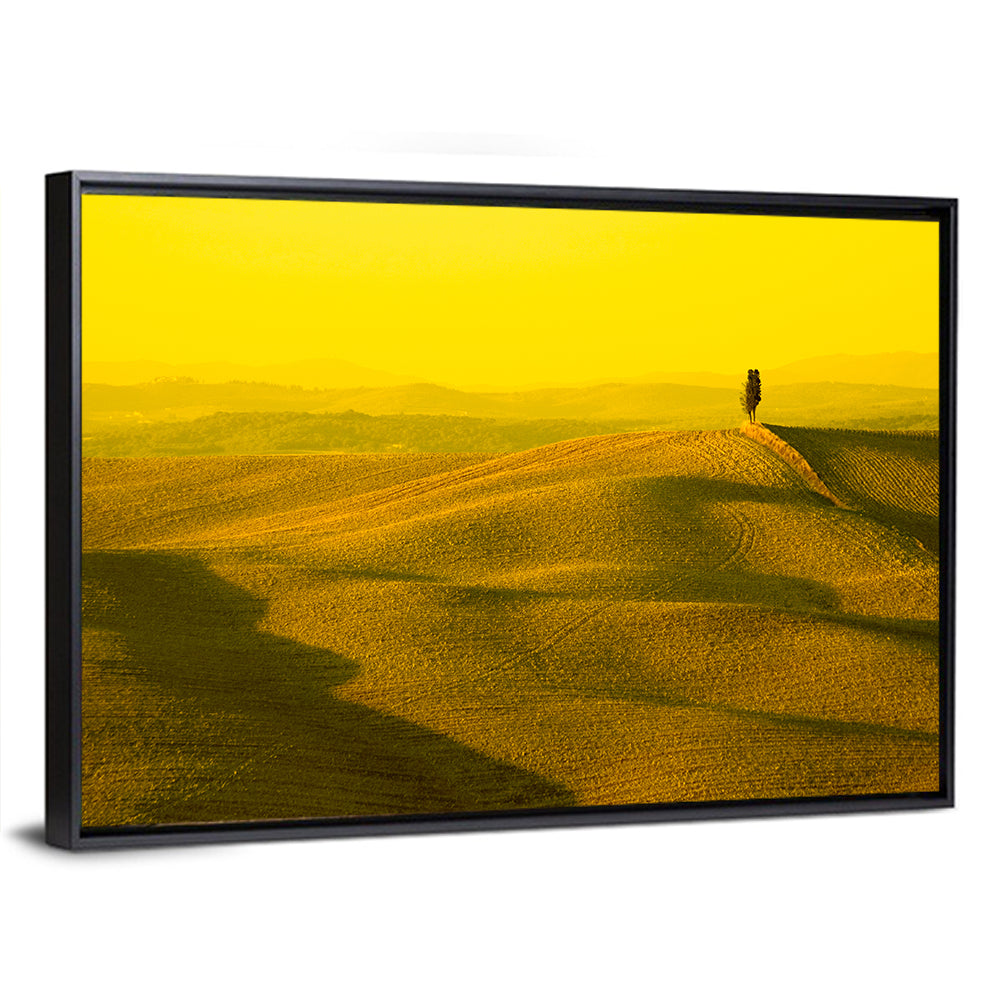 Cypress Tree in Tuscany Fields Wall Art