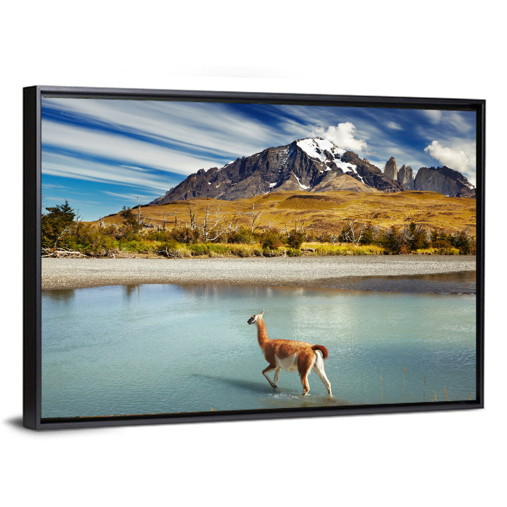 Torres Del Paine, Patagonia Wall Art