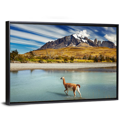 Torres Del Paine, Patagonia Wall Art