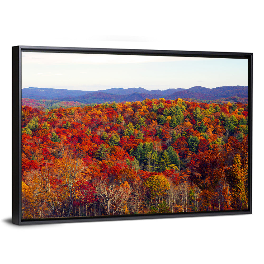 Autumn in the Appalachian Forest Wall Art